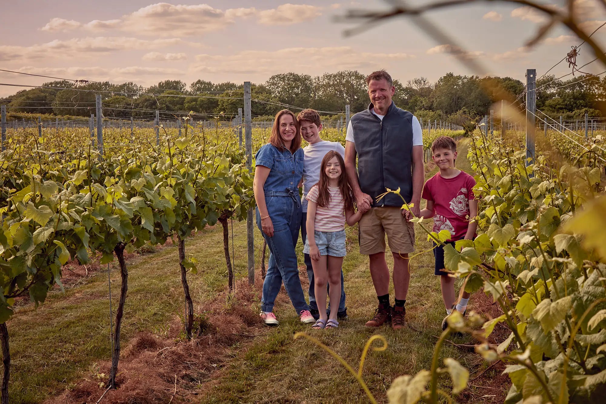 Ford Family Photo in Vineyard 1-Full
