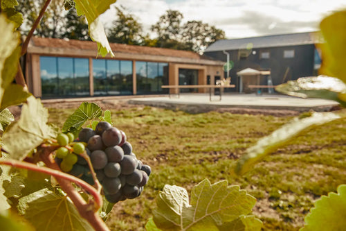 Private Venue Hire 1