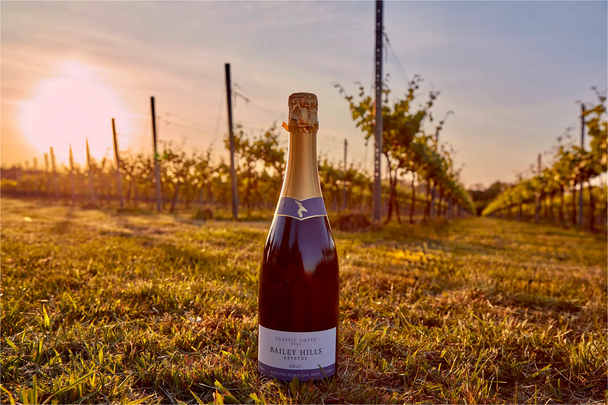 Bottle of BH English Sparkling Wine 1