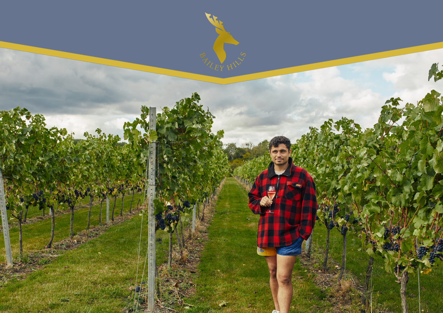 Vertical Tasting & Tour